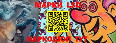 шишки Донской