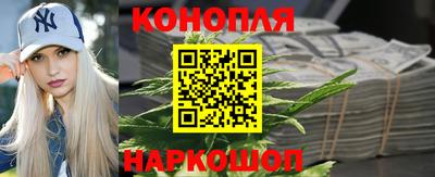 шишки Донской