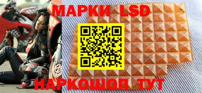 шишки Донской