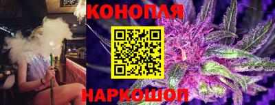 шишки Донской