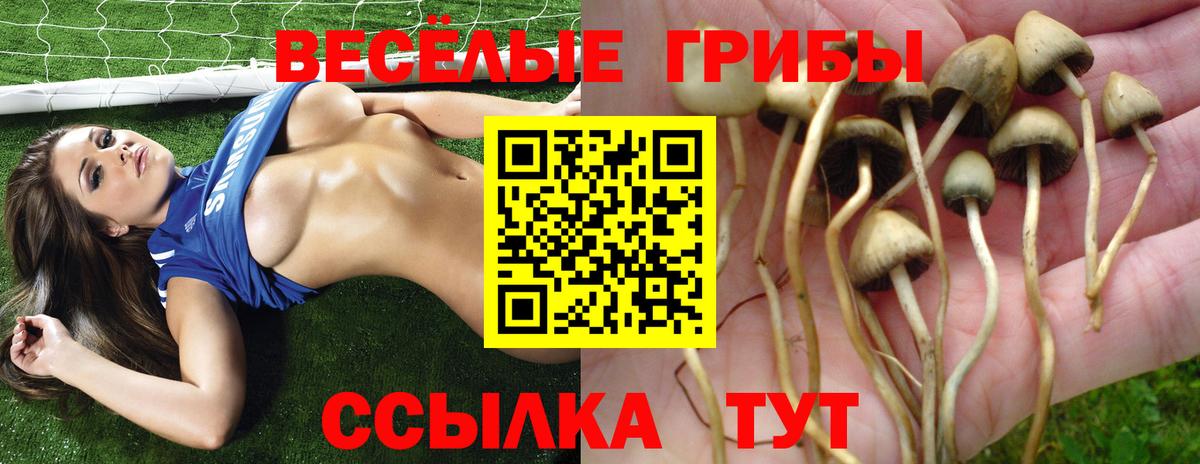 Менделеевск  Галлюциногенные грибы MAGIC MUSHROOMS  Вход с VPN 